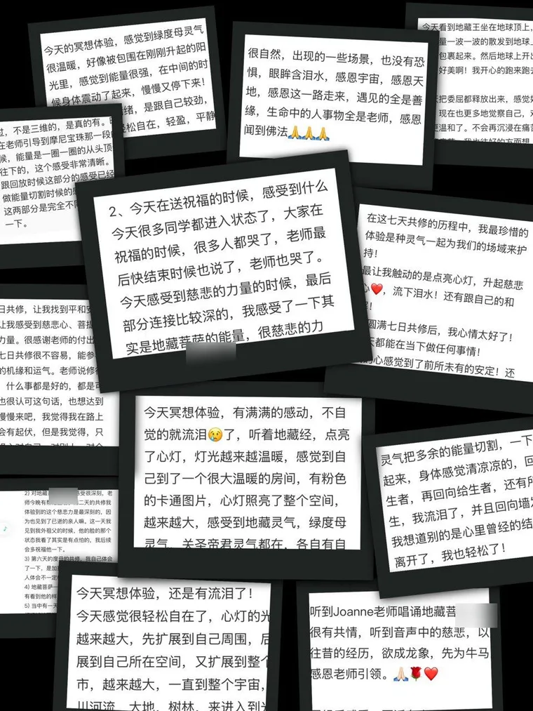 七天慈悲灵气共修营学员反馈截图